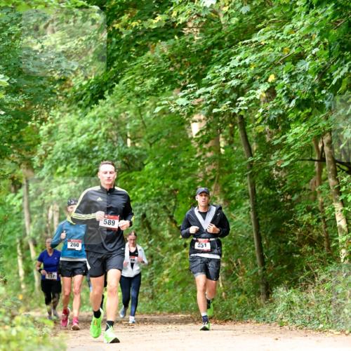 11.10.2026 - Bramfelder Halbmarathon 2026 Dr. Thomas Lammeyer http://msf.ph/oto/10828913 11.10.2026 11:08:34 Laufen 157, 260, 589, 16, 551 meine-sportfotos.de