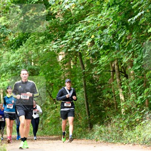 11.10.2026 - Bramfelder Halbmarathon 2026 Dr. Thomas Lammeyer http://msf.ph/oto/10828917 11.10.2026 11:08:35 Laufen 157, 260, 589, 16, 551 meine-sportfotos.de