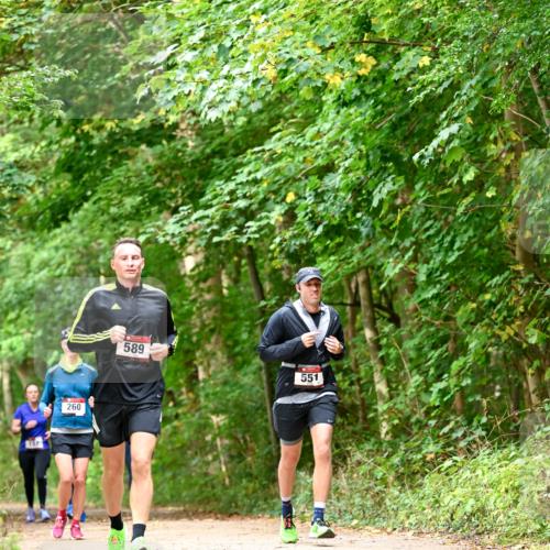 11.10.2026 - Bramfelder Halbmarathon 2026 Dr. Thomas Lammeyer http://msf.ph/oto/10828943 11.10.2026 11:08:37 Laufen 260, 589, 551 meine-sportfotos.de