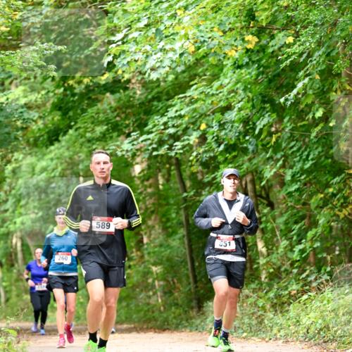 11.10.2026 - Bramfelder Halbmarathon 2026 Dr. Thomas Lammeyer http://msf.ph/oto/10828947 11.10.2026 11:08:37 Laufen 260, 589, 551 meine-sportfotos.de