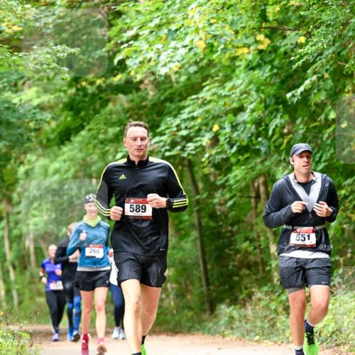 11.10.2026 - Bramfelder Halbmarathon 2026 Dr. Thomas Lammeyer http://msf.ph/oto/10828954 11.10.2026 11:08:38 Laufen 260, 589, 551 meine-sportfotos.de
