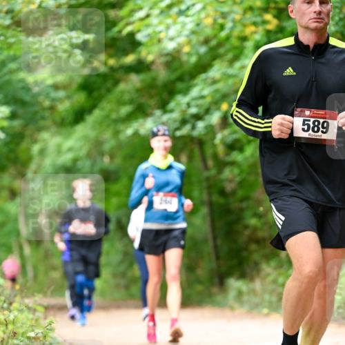 11.10.2026 - Bramfelder Halbmarathon 2026 Dr. Thomas Lammeyer http://msf.ph/oto/10828982 11.10.2026 11:08:40 Laufen 589 meine-sportfotos.de