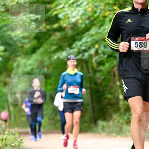 11.10.2026 - Bramfelder Halbmarathon 2026 Dr. Thomas Lammeyer http://msf.ph/oto/10828984 11.10.2026 11:08:40 Laufen 589 meine-sportfotos.de