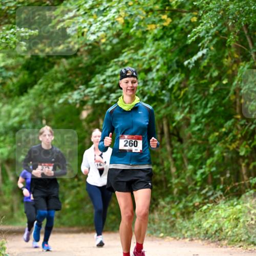 11.10.2026 - Bramfelder Halbmarathon 2026 Dr. Thomas Lammeyer http://msf.ph/oto/10828993 11.10.2026 11:08:41 Laufen 260, 280 meine-sportfotos.de