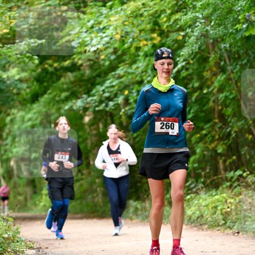 11.10.2026 - Bramfelder Halbmarathon 2026 Dr. Thomas Lammeyer http://msf.ph/oto/10829004 11.10.2026 11:08:42 Laufen 243, 116, 260, 280 meine-sportfotos.de
