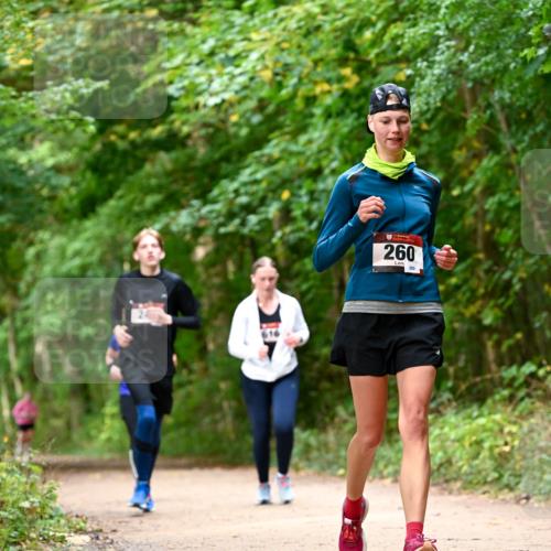 11.10.2026 - Bramfelder Halbmarathon 2026 Dr. Thomas Lammeyer http://msf.ph/oto/10829006 11.10.2026 11:08:42 Laufen 260, 280 meine-sportfotos.de