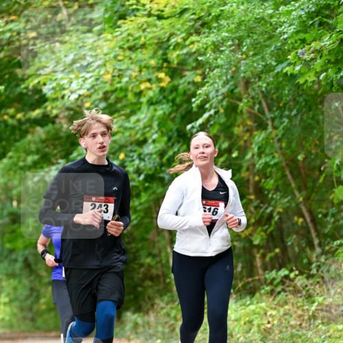 11.10.2026 - Bramfelder Halbmarathon 2026 Dr. Thomas Lammeyer http://msf.ph/oto/10829028 11.10.2026 11:08:45 Laufen 16, 243 meine-sportfotos.de