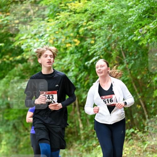11.10.2026 - Bramfelder Halbmarathon 2026 Dr. Thomas Lammeyer http://msf.ph/oto/10829034 11.10.2026 11:08:45 Laufen 43, 616 meine-sportfotos.de