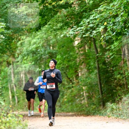 11.10.2026 - Bramfelder Halbmarathon 2026 Dr. Thomas Lammeyer http://msf.ph/oto/10829171 11.10.2026 11:09:04 Laufen 190 meine-sportfotos.de