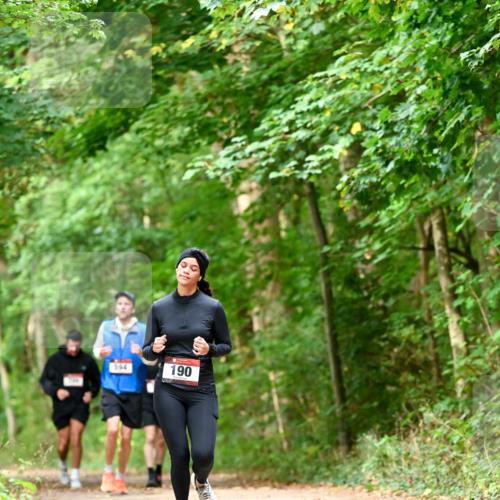 11.10.2026 - Bramfelder Halbmarathon 2026 Dr. Thomas Lammeyer http://msf.ph/oto/10829185 11.10.2026 11:09:05 Laufen 594, 190 meine-sportfotos.de