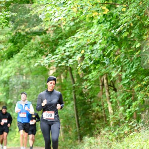 11.10.2026 - Bramfelder Halbmarathon 2026 Dr. Thomas Lammeyer http://msf.ph/oto/10829196 11.10.2026 11:09:06 Laufen 2, 190 meine-sportfotos.de