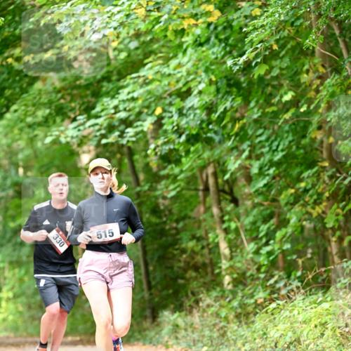 11.10.2026 - Bramfelder Halbmarathon 2026 Dr. Thomas Lammeyer http://msf.ph/oto/10829302 11.10.2026 11:09:37 Laufen 330, 515 meine-sportfotos.de
