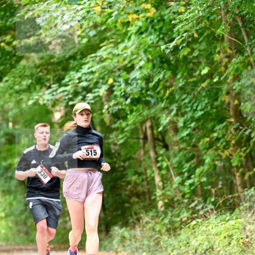11.10.2026 - Bramfelder Halbmarathon 2026 Dr. Thomas Lammeyer http://msf.ph/oto/10829305 11.10.2026 11:09:37 Laufen 330, 515 meine-sportfotos.de