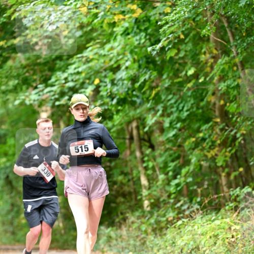 11.10.2026 - Bramfelder Halbmarathon 2026 Dr. Thomas Lammeyer http://msf.ph/oto/10829310 11.10.2026 11:09:37 Laufen 330, 279, 515 meine-sportfotos.de