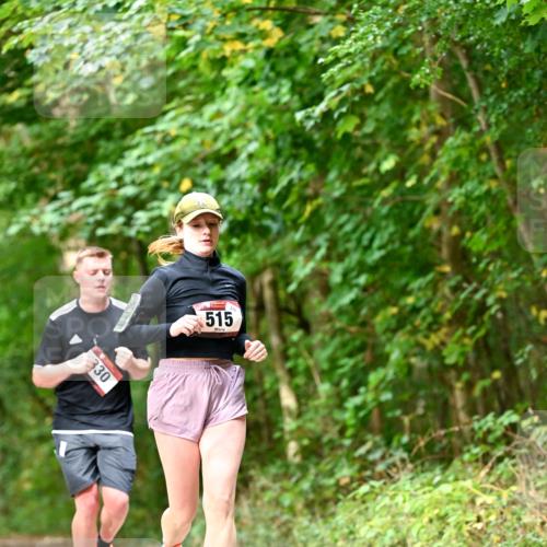 11.10.2026 - Bramfelder Halbmarathon 2026 Dr. Thomas Lammeyer http://msf.ph/oto/10829315 11.10.2026 11:09:38 Laufen 330, 515 meine-sportfotos.de