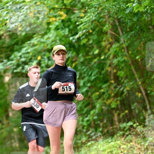 11.10.2026 - Bramfelder Halbmarathon 2026 Dr. Thomas Lammeyer http://msf.ph/oto/10829325 11.10.2026 11:09:38 Laufen 330, 279, 515 meine-sportfotos.de