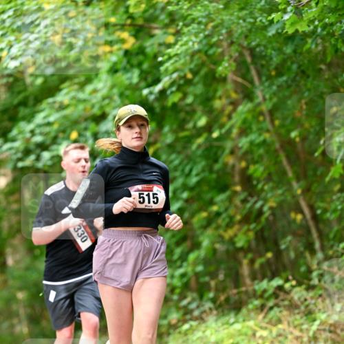 11.10.2026 - Bramfelder Halbmarathon 2026 Dr. Thomas Lammeyer http://msf.ph/oto/10829327 11.10.2026 11:09:39 Laufen 330, 279, 515 meine-sportfotos.de