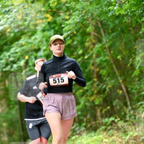 11.10.2026 - Bramfelder Halbmarathon 2026 Dr. Thomas Lammeyer http://msf.ph/oto/10829330 11.10.2026 11:09:39 Laufen 515, 279, 33 meine-sportfotos.de