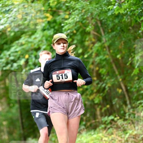 11.10.2026 - Bramfelder Halbmarathon 2026 Dr. Thomas Lammeyer http://msf.ph/oto/10829332 11.10.2026 11:09:39 Laufen 530, 515, 279 meine-sportfotos.de