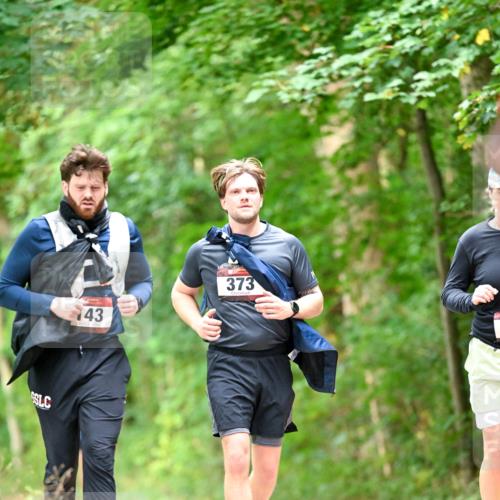 11.10.2026 - Bramfelder Halbmarathon 2026 Dr. Thomas Lammeyer http://msf.ph/oto/10829504 11.10.2026 11:10:38 Laufen 43, 373 meine-sportfotos.de