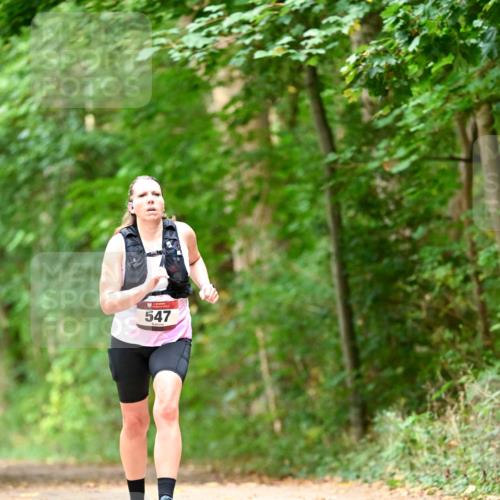 11.10.2026 - Bramfelder Halbmarathon 2026 Dr. Thomas Lammeyer http://msf.ph/oto/10829545 11.10.2026 11:10:57 Laufen 547 meine-sportfotos.de
