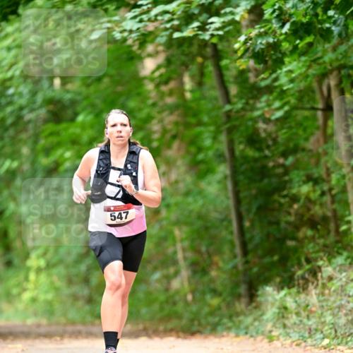 11.10.2026 - Bramfelder Halbmarathon 2026 Dr. Thomas Lammeyer http://msf.ph/oto/10829550 11.10.2026 11:10:57 Laufen 547 meine-sportfotos.de