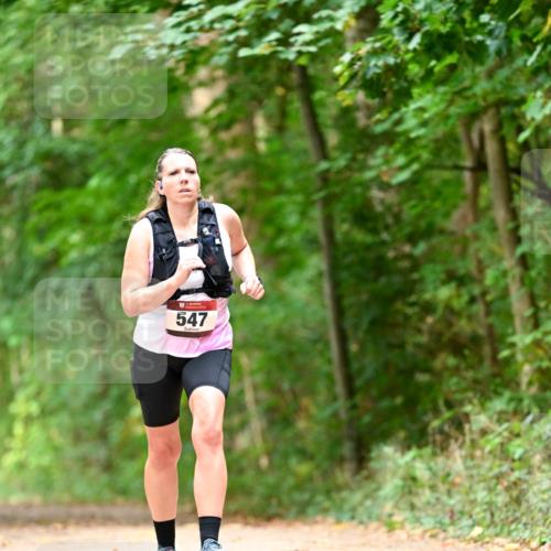 11.10.2026 - Bramfelder Halbmarathon 2026 Dr. Thomas Lammeyer http://msf.ph/oto/10829556 11.10.2026 11:10:58 Laufen 547 meine-sportfotos.de