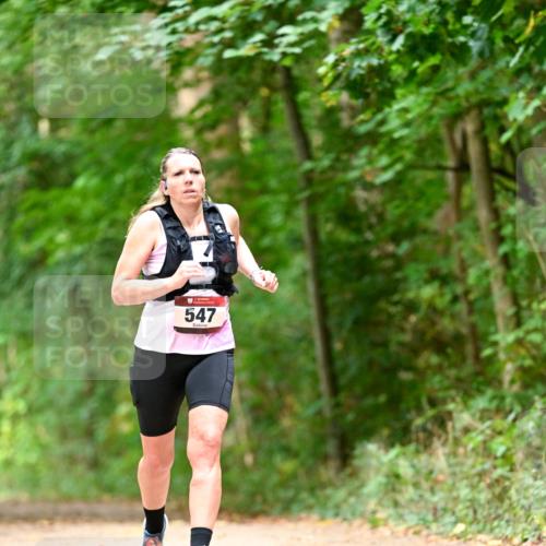 11.10.2026 - Bramfelder Halbmarathon 2026 Dr. Thomas Lammeyer http://msf.ph/oto/10829558 11.10.2026 11:10:58 Laufen 547 meine-sportfotos.de