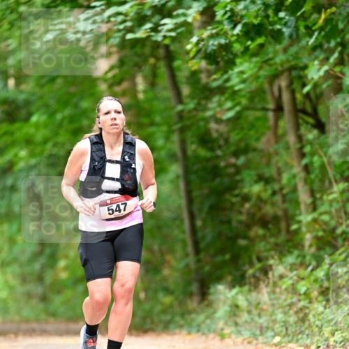 11.10.2026 - Bramfelder Halbmarathon 2026 Dr. Thomas Lammeyer http://msf.ph/oto/10829560 11.10.2026 11:10:58 Laufen 547 meine-sportfotos.de