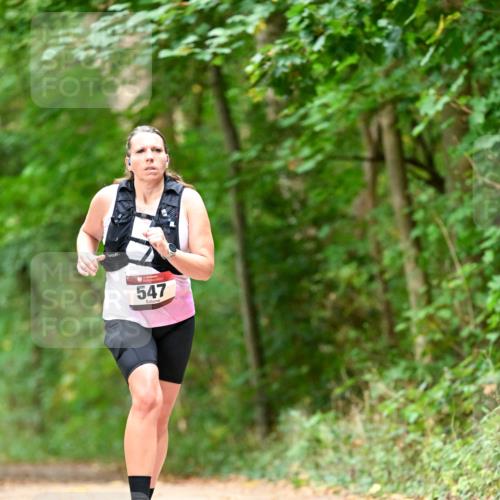11.10.2026 - Bramfelder Halbmarathon 2026 Dr. Thomas Lammeyer http://msf.ph/oto/10829562 11.10.2026 11:10:58 Laufen 547 meine-sportfotos.de