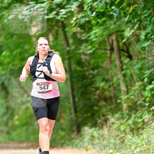 11.10.2026 - Bramfelder Halbmarathon 2026 Dr. Thomas Lammeyer http://msf.ph/oto/10829564 11.10.2026 11:10:58 Laufen 547 meine-sportfotos.de