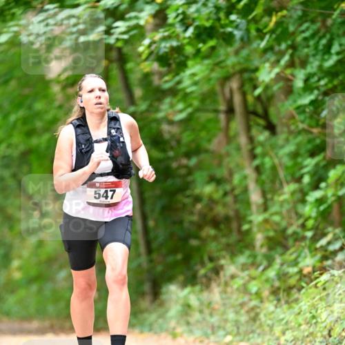 11.10.2026 - Bramfelder Halbmarathon 2026 Dr. Thomas Lammeyer http://msf.ph/oto/10829568 11.10.2026 11:10:59 Laufen 547 meine-sportfotos.de