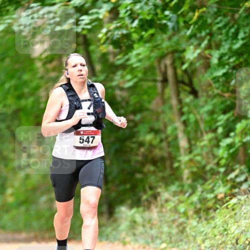 11.10.2026 - Bramfelder Halbmarathon 2026 Dr. Thomas Lammeyer http://msf.ph/oto/10829570 11.10.2026 11:10:59 Laufen 547 meine-sportfotos.de