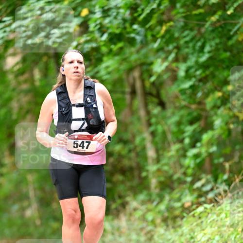 11.10.2026 - Bramfelder Halbmarathon 2026 Dr. Thomas Lammeyer http://msf.ph/oto/10829577 11.10.2026 11:10:59 Laufen 35, 547 meine-sportfotos.de