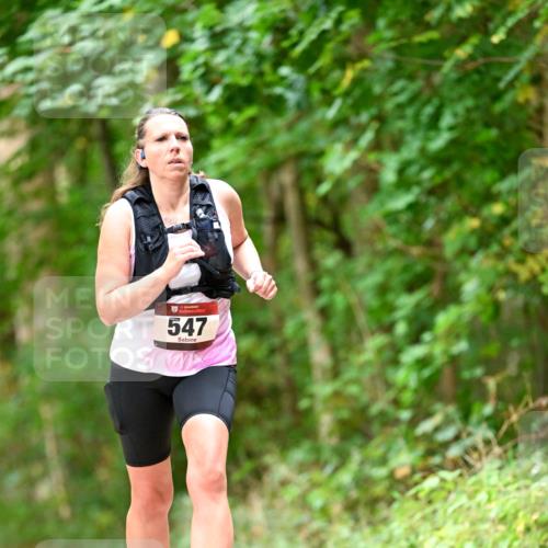 11.10.2026 - Bramfelder Halbmarathon 2026 Dr. Thomas Lammeyer http://msf.ph/oto/10829579 11.10.2026 11:10:59 Laufen 547 meine-sportfotos.de