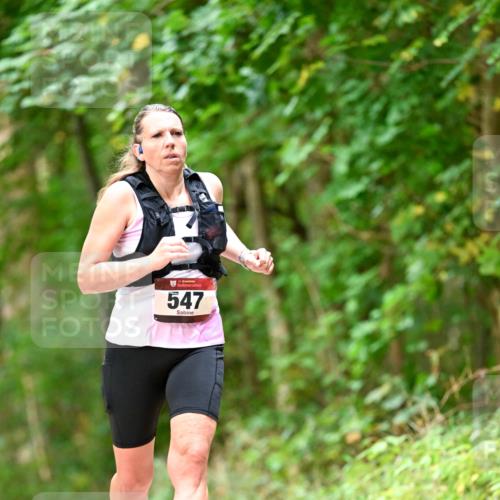 11.10.2026 - Bramfelder Halbmarathon 2026 Dr. Thomas Lammeyer http://msf.ph/oto/10829581 11.10.2026 11:11:00 Laufen 5, 547 meine-sportfotos.de
