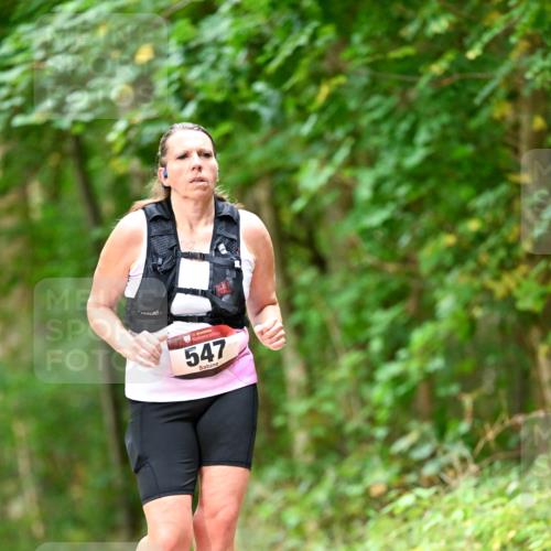 11.10.2026 - Bramfelder Halbmarathon 2026 Dr. Thomas Lammeyer http://msf.ph/oto/10829583 11.10.2026 11:11:00 Laufen 547 meine-sportfotos.de