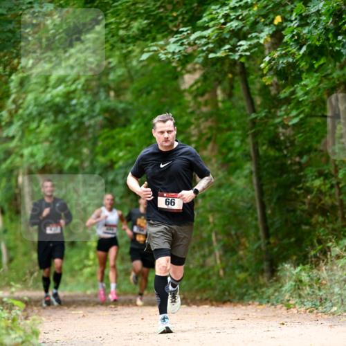 11.10.2026 - Bramfelder Halbmarathon 2026 Dr. Thomas Lammeyer http://msf.ph/oto/10829599 11.10.2026 11:11:08 Laufen 66 meine-sportfotos.de