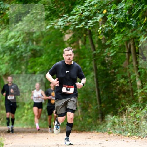 11.10.2026 - Bramfelder Halbmarathon 2026 Dr. Thomas Lammeyer http://msf.ph/oto/10829605 11.10.2026 11:11:09 Laufen 66 meine-sportfotos.de
