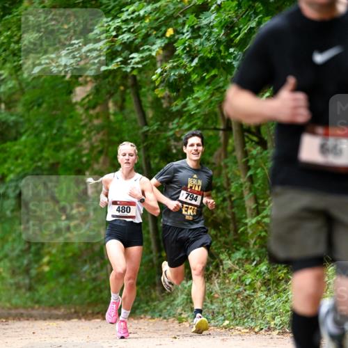 11.10.2026 - Bramfelder Halbmarathon 2026 Dr. Thomas Lammeyer http://msf.ph/oto/10829637 11.10.2026 11:11:12 Laufen 794, 480 meine-sportfotos.de