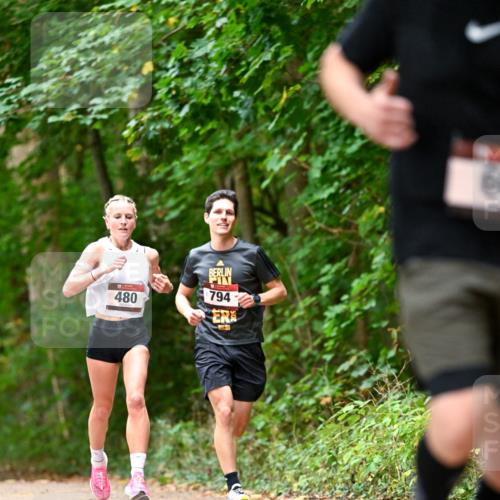 11.10.2026 - Bramfelder Halbmarathon 2026 Dr. Thomas Lammeyer http://msf.ph/oto/10829643 11.10.2026 11:11:12 Laufen 794, 480 meine-sportfotos.de