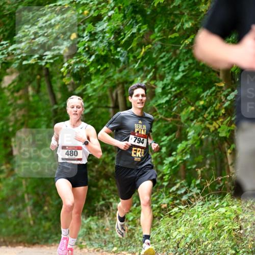 11.10.2026 - Bramfelder Halbmarathon 2026 Dr. Thomas Lammeyer http://msf.ph/oto/10829646 11.10.2026 11:11:12 Laufen 794, 480 meine-sportfotos.de