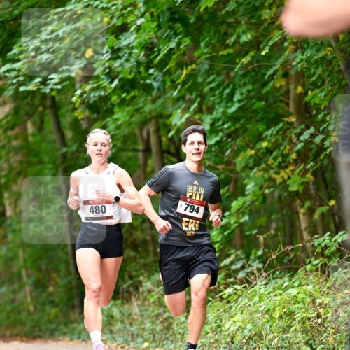 11.10.2026 - Bramfelder Halbmarathon 2026 Dr. Thomas Lammeyer http://msf.ph/oto/10829648 11.10.2026 11:11:12 Laufen 794, 480 meine-sportfotos.de