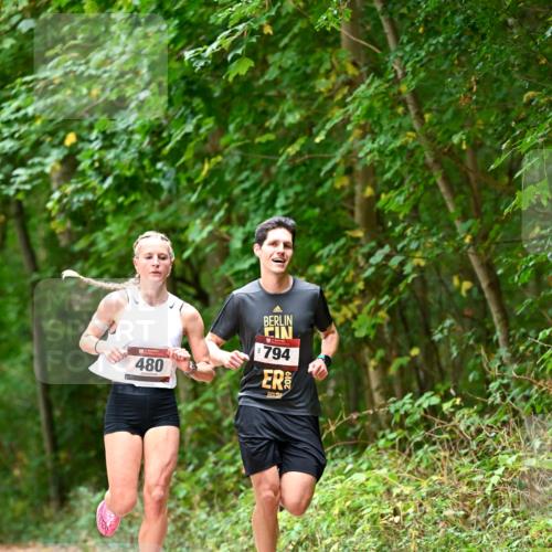 11.10.2026 - Bramfelder Halbmarathon 2026 Dr. Thomas Lammeyer http://msf.ph/oto/10829654 11.10.2026 11:11:13 Laufen 480, 794 meine-sportfotos.de