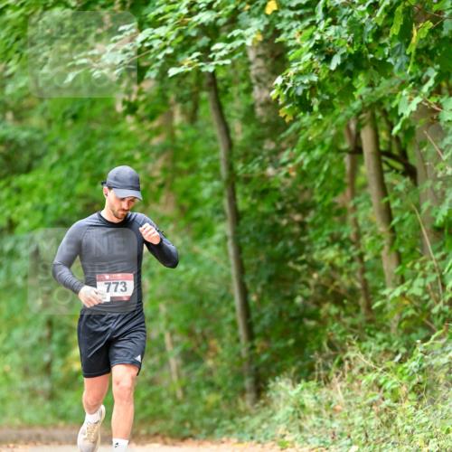 11.10.2026 - Bramfelder Halbmarathon 2026 Dr. Thomas Lammeyer http://msf.ph/oto/10829776 11.10.2026 11:11:36 Laufen 773 meine-sportfotos.de