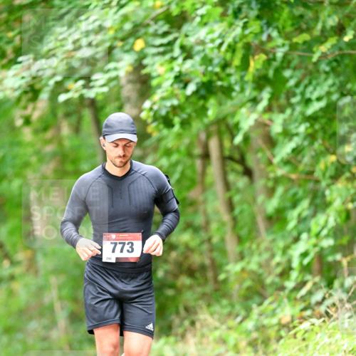 11.10.2026 - Bramfelder Halbmarathon 2026 Dr. Thomas Lammeyer http://msf.ph/oto/10829802 11.10.2026 11:11:38 Laufen 246, 773 meine-sportfotos.de