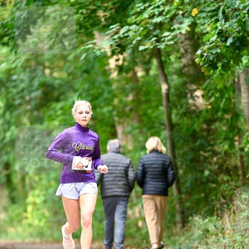 11.10.2026 - Bramfelder Halbmarathon 2026 Dr. Thomas Lammeyer http://msf.ph/oto/10830167 11.10.2026 11:12:40 Laufen  meine-sportfotos.de