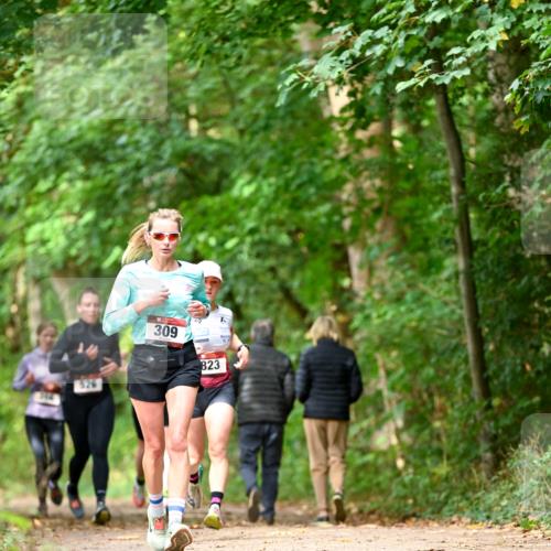 11.10.2026 - Bramfelder Halbmarathon 2026 Dr. Thomas Lammeyer http://msf.ph/oto/10830181 11.10.2026 11:12:46 Laufen 309, 823 meine-sportfotos.de