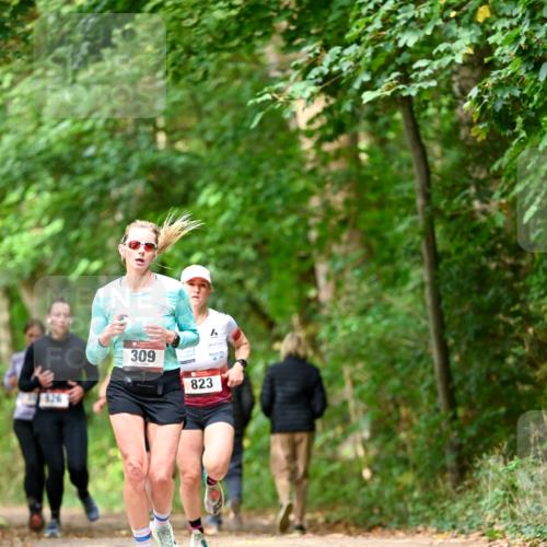 11.10.2026 - Bramfelder Halbmarathon 2026 Dr. Thomas Lammeyer http://msf.ph/oto/10830188 11.10.2026 11:12:46 Laufen 309, 823 meine-sportfotos.de