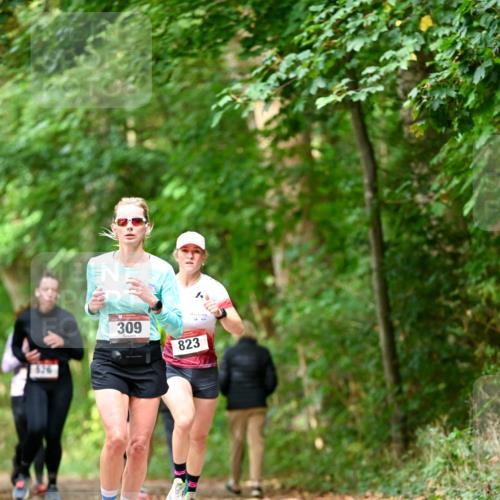 11.10.2026 - Bramfelder Halbmarathon 2026 Dr. Thomas Lammeyer http://msf.ph/oto/10830193 11.10.2026 11:12:47 Laufen 309, 823 meine-sportfotos.de